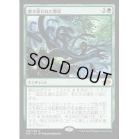 (FOIL)解き放たれた繁栄/Unbound Flourishing《日本語》【MH1】