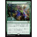 [EX+](FOIL)活性の力/Force of Vigor《日本語》【MH1】