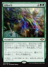 [EX+](FOIL)活性の力/Force of Vigor《日本語》【MH1】