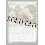 [PLD]衝撃の足音/Crashing Footfalls《日本語》【MH1】