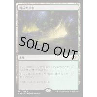 (FOIL)育成泥炭地/Nurturing Peatland《日本語》【MH1】