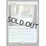 冠水樹林帯/Waterlogged Grove《日本語》【MH1】