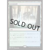 [EX]冠水樹林帯/Waterlogged Grove《日本語》【MH1】