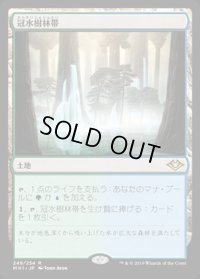 冠水樹林帯/Waterlogged Grove《日本語》【MH1】