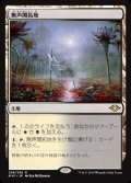 (FOIL)無声開拓地/Silent Clearing《日本語》【MH1】