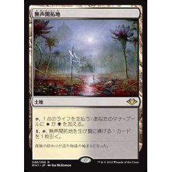 画像1: (FOIL)無声開拓地/Silent Clearing《日本語》【MH1】