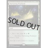 [EX](FOIL)育成泥炭地/Nurturing Peatland《英語》【MH1】
