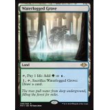 [EX+](FOIL)冠水樹林帯/Waterlogged Grove《英語》【MH1】