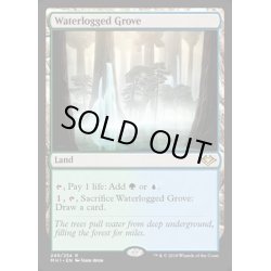 画像1: (FOIL)冠水樹林帯/Waterlogged Grove《英語》【MH1】