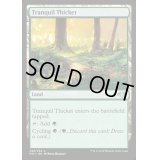 平穏な茂み/Tranquil Thicket《英語》【MH1】