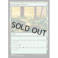 平穏な茂み/Tranquil Thicket《英語》【MH1】