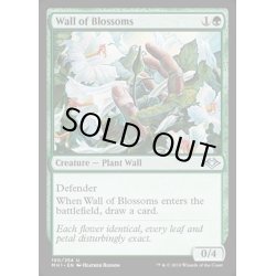 画像1: [EX+](FOIL)花の壁/Wall of Blossoms《英語》【MH1】