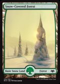 [EX+]冠雪の森/Snow-Covered Forest《英語》【MH1】