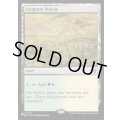 サングラスの大草原/Sungrass Prairie《英語》【Reprint Cards(Secret Lair Commander)】