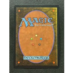 画像7: [HPLD]稲妻/Lightning Bolt《英語》【LEB】#291