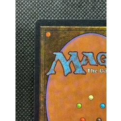 画像8: [HPLD]稲妻/Lightning Bolt《英語》【LEB】#291