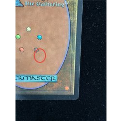 画像11: [EX](サイン)島/Island《英語》【Guru Lands】#300