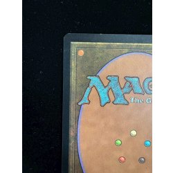 画像8: [EX](サイン)島/Island《英語》【Guru Lands】#300