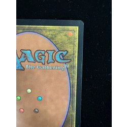 画像9: [EX](サイン)島/Island《英語》【Guru Lands】#300