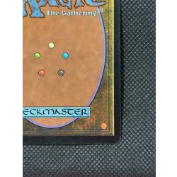 画像11: [EX]平地/Plains《英語》【Guru Lands】#302