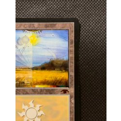 画像4: [EX]平地/Plains《英語》【Guru Lands】#302