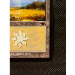 画像6: [EX]平地/Plains《英語》【Guru Lands】#302