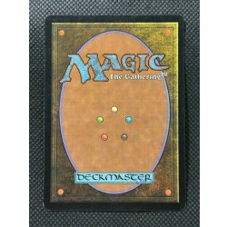 画像7: [EX]平地/Plains《英語》【Guru Lands】#302