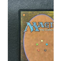 画像8: [EX]平地/Plains《英語》【Guru Lands】#302