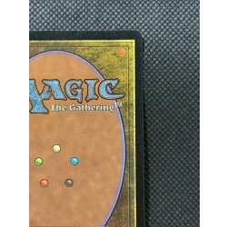 画像9: [EX]平地/Plains《英語》【Guru Lands】#302