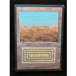 画像2: [EX]Scrubland《イタリア語》【3ED(FBB)】#310