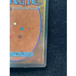 画像11: [EX]Scrubland《イタリア語》【3ED(FBB)】#310