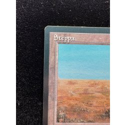 画像3: [EX]Scrubland《イタリア語》【3ED(FBB)】#310