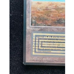 画像5: [EX]Scrubland《イタリア語》【3ED(FBB)】#310