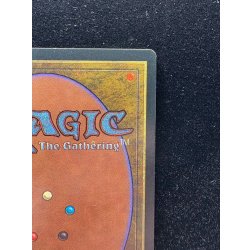 画像9: [EX]Scrubland《イタリア語》【3ED(FBB)】#310