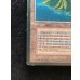画像5: [PLD](インク)Volcanic Island《イタリア語》【3ED(FBB)】#312 (5)