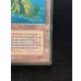 画像6: [PLD](インク)Volcanic Island《イタリア語》【3ED(FBB)】#312 (6)