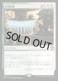 特権階級/Privileged Position《日本語》【Guilds of Ravnica: Guild Kits(Selesnya)】