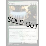 特権階級/Privileged Position《日本語》【Guilds of Ravnica: Guild Kits(Selesnya)】