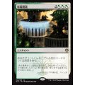 [EX+]特権階級/Privileged Position《日本語》【Guilds of Ravnica: Guild Kits(Selesnya)】