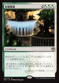 [EX+]特権階級/Privileged Position《日本語》【Guilds of Ravnica: Guild Kits(Selesnya)】