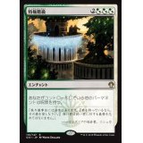 [EX+]特権階級/Privileged Position《日本語》【Guilds of Ravnica: Guild Kits(Selesnya)】