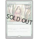女魔術師の存在/Enchantress's Presence《日本語》【Commander 2018】