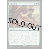 [HPLD]同族の召喚/Kindred Summons《日本語》【Commander 2017】