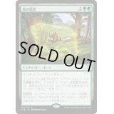 熊の陰影/Bear Umbra《日本語》【Commander 2018】