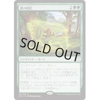 熊の陰影/Bear Umbra《日本語》【Commander 2018】
