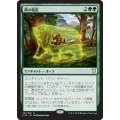 [EX+]熊の陰影/Bear Umbra《日本語》【Commander 2018】