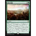 [EX]発見の誘惑/Tempt with Discovery《日本語》【Commander 2016】