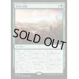 [EX+]発見の誘惑/Tempt with Discovery《日本語》【Commander 2016】