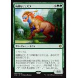 絢爛なビヒモス/Regal Behemoth《日本語》【CN2】