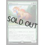 [EX]絢爛なビヒモス/Regal Behemoth《日本語》【CN2】